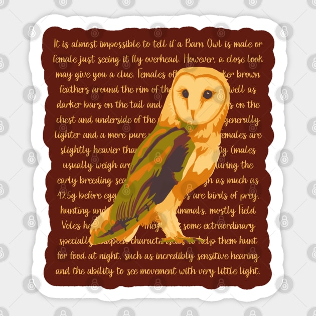 Barn Owl Information Sticker by Slightly Unhinged